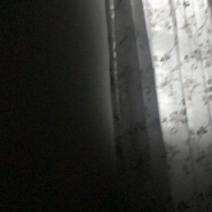 Meet your Posher, Bailey